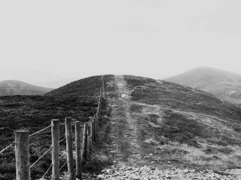 NeighborHelp - imagen 1